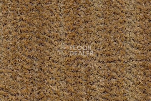 Грязезащитные покрытия Forbo Coral Brush 5754 straw brown фото 1 | FLOORDEALER